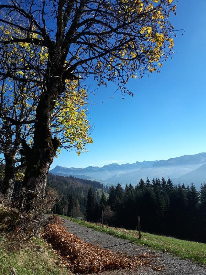 Bergpension-Ebental Brixen im Thale Exterior photo